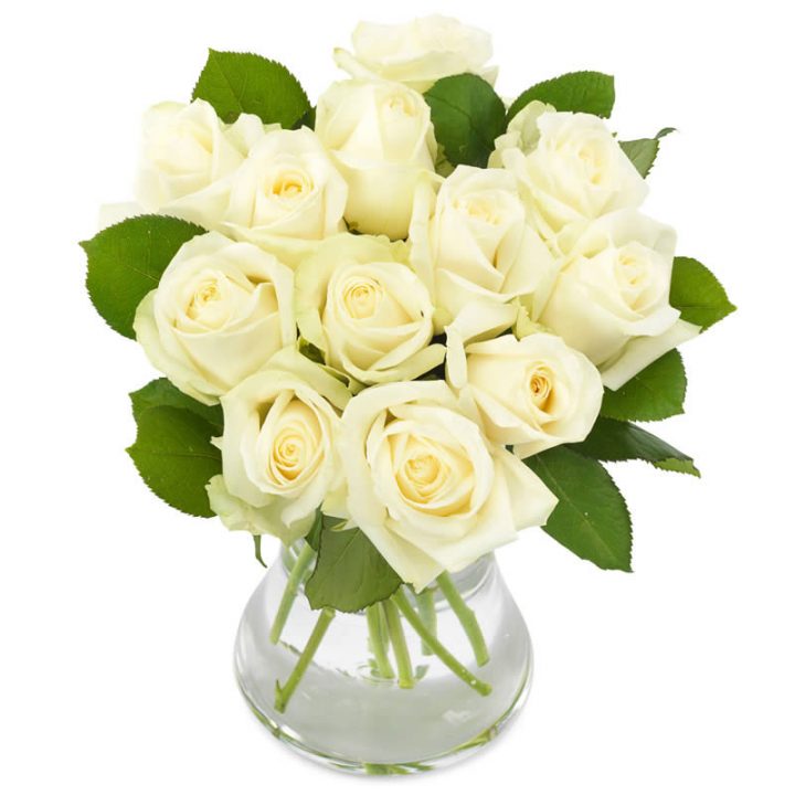 Elegante hvide roser med grønt
