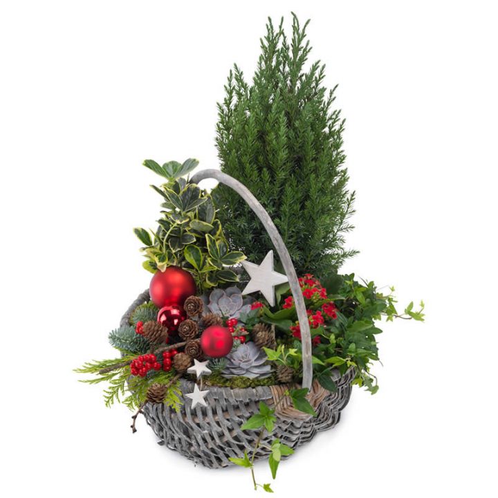 Jule sammenplantning, leveres personligt, julesammenplantning med kugler, planter, stjerner grene m.m.